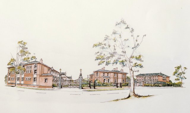 Drawing 1 - Lillington Avenue